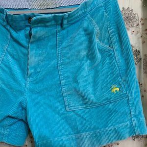 Stretch Cotton Wide-Wale Corduroy Shorts Color Tu… - image 1